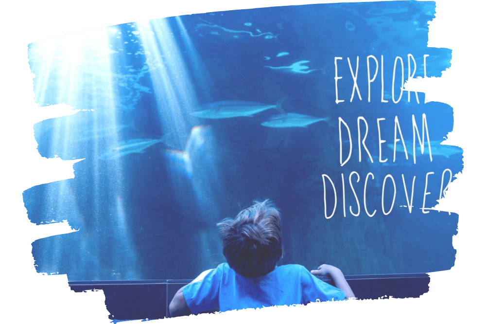explore-dream-discover