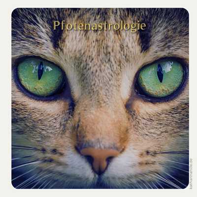 Nahaufnahme einer getigerten Katze mit intensiv grünen Augen, die direkt in die Kamera blickt. Das Bild hat einen leichten mystischen Filter und trägt den transparenten Schriftzug 'Pfotenastrologie' in goldener Schrift. Die durchdringende Tiefe im Blick der Katze symbolisiert die komplexe Persönlichkeit, die die Pfotenastrologie zu entschlüsseln hilft.